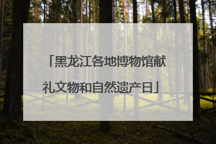 黑龙江各地博物馆献礼文物和自然遗产日