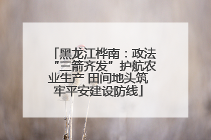 黑龙江桦南：政法“三箭齐发”护航农业生产 田间地头筑牢平安建设防线