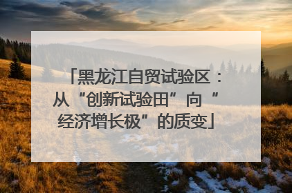 黑龙江自贸试验区：从“创新试验田”向“经济增长极”的质变