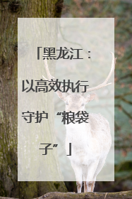 黑龙江：以高效执行守护“粮袋子”