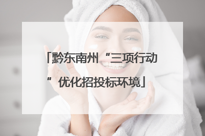 黔东南州“三项行动”优化招投标环境