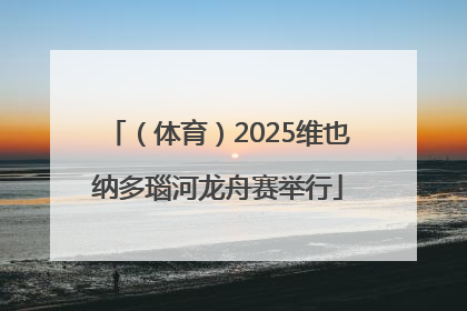 （体育）2025维也纳多瑙河龙舟赛举行