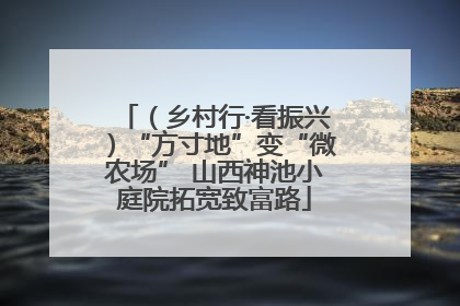 （乡村行·看振兴）“方寸地”变“微农场” 山西神池小庭院拓宽致富路