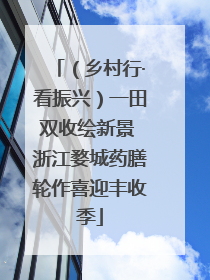 （乡村行·看振兴）一田双收绘新景 浙江婺城药膳轮作喜迎丰收季