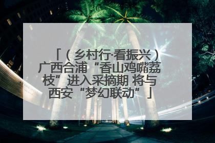 （乡村行·看振兴）广西合浦“香山鸡嘴荔枝”进入采摘期 将与西安“梦幻联动”