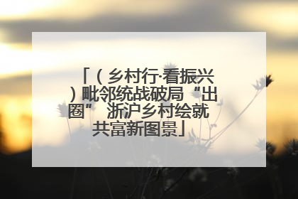 （乡村行·看振兴）毗邻统战破局“出圈” 浙沪乡村绘就共富新图景