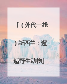 （外代一线）新西兰：邂逅野生动物