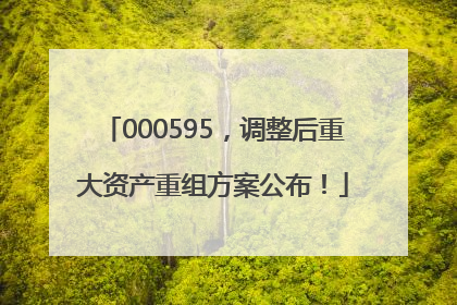 000595，调整后重大资产重组方案公布！