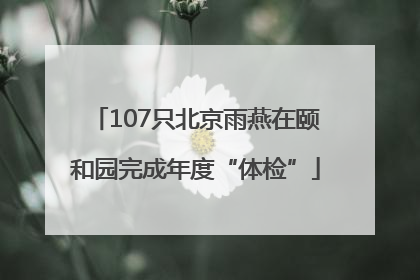 107只北京雨燕在颐和园完成年度“体检”