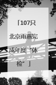 107只北京雨燕完成年度“体检”