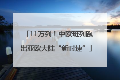 11万列！中欧班列跑出亚欧大陆“新时速”