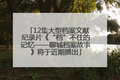 12集大型档案文献纪录片《“档”不住的记忆——聊城档案故事》将于近期播出