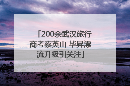 200余武汉旅行商考察英山 毕昇漂流升级引关注
