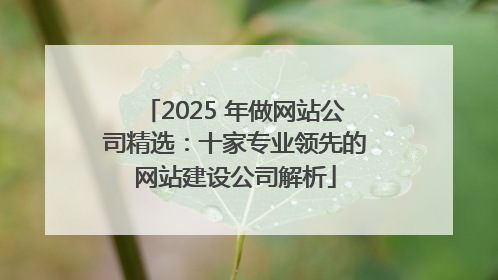2025 年做网站公司精选：十家专业领先的网站建设公司解析