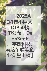 2025AI科技小巨人TOP50榜单公布，DeepSeek、宇树科技、蘑菇车联等企业荣誉上榜