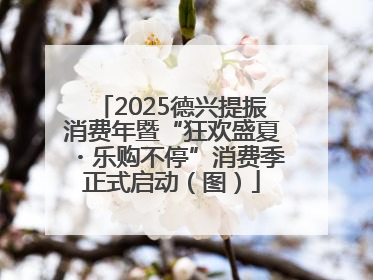 2025德兴提振消费年暨“狂欢盛夏・乐购不停”消费季正式启动（图）
