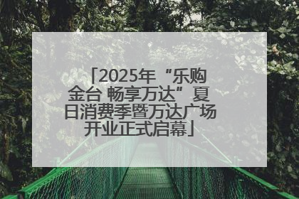 2025年“乐购金台 畅享万达”夏日消费季暨万达广场开业正式启幕
