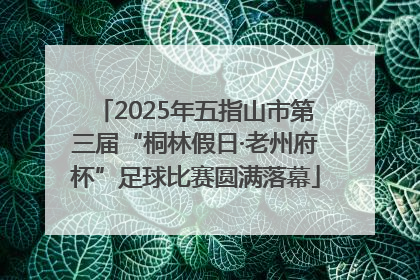 2025年五指山市第三届“桐林假日·老州府杯”足球比赛圆满落幕