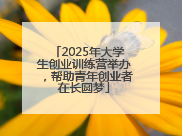 2025年大学生创业训练营举办，帮助青年创业者在长圆梦
