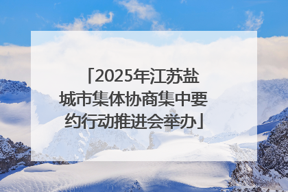2025年江苏盐城市集体协商集中要约行动推进会举办