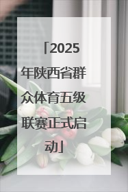 2025年陕西省群众体育五级联赛正式启动