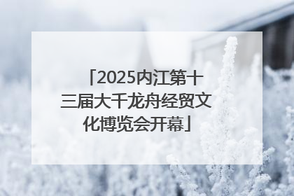 2025内江第十三届大千龙舟经贸文化博览会开幕