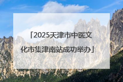 2025天津市中医文化市集津南站成功举办