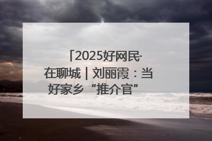 2025好网民·在聊城｜刘丽霞：当好家乡“推介官” 秀出乡村新风貌