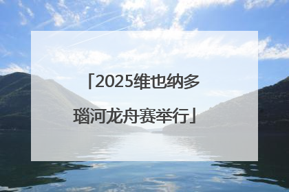 2025维也纳多瑙河龙舟赛举行