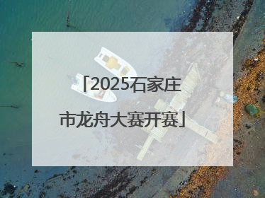 2025石家庄市龙舟大赛开赛