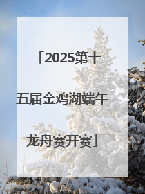 2025第十五届金鸡湖端午龙舟赛开赛