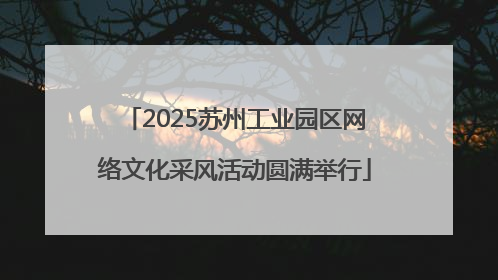 2025苏州工业园区网络文化采风活动圆满举行