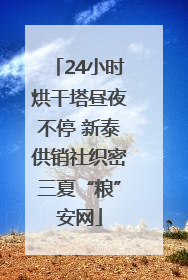 24小时烘干塔昼夜不停 新泰供销社织密三夏“粮”安网