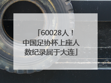 60028人！中国足协杯上座人数纪录属于大连