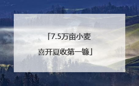 7.5万亩小麦喜开夏收第一镰