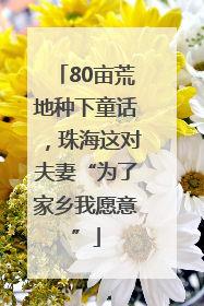 80亩荒地种下童话，珠海这对夫妻“为了家乡我愿意”