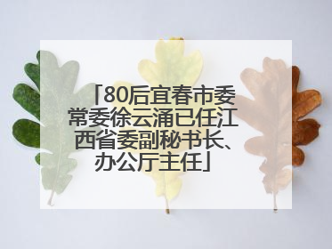80后宜春市委常委徐云涌已任江西省委副秘书长、办公厅主任