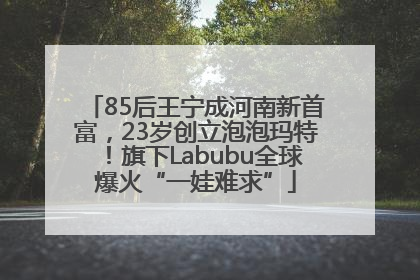 85后王宁成河南新首富，23岁创立泡泡玛特！旗下Labubu全球爆火“一娃难求”