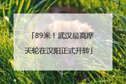 89米！武汉最高摩天轮在汉阳正式开转