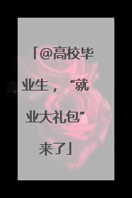 @高校毕业生，“就业大礼包”来了