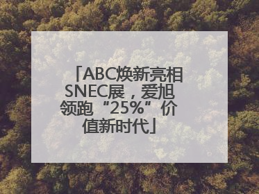 ABC焕新亮相SNEC展，爱旭领跑“25%”价值新时代