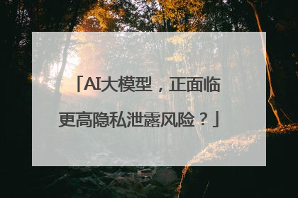 AI大模型，正面临更高隐私泄露风险？