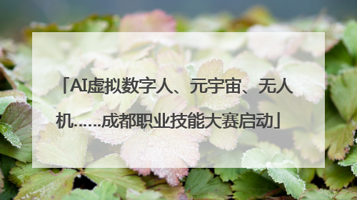 AI虚拟数字人、元宇宙、无人机……成都职业技能大赛启动