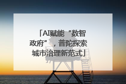 AI赋能“数智政府”，普陀探索城市治理新范式