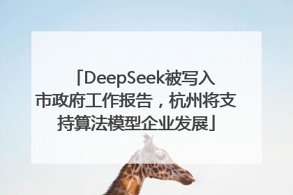 DeepSeek被写入市政府工作报告，杭州将支持算法模型企业发展