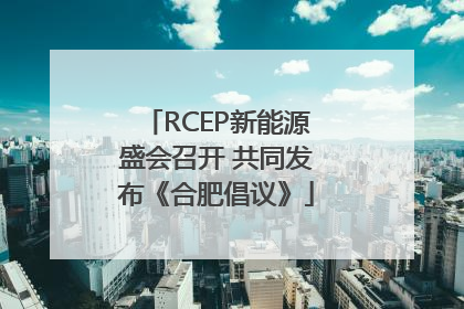 RCEP新能源盛会召开 共同发布《合肥倡议》